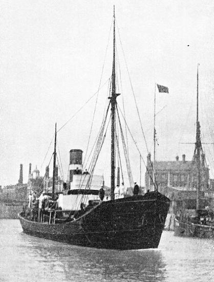 The Daisy, used as a minesweeper and a surveying vessel before transfer to the Fishery Protection Service