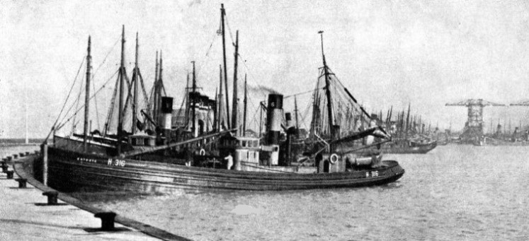 A LARGE FLEET OF DRIFTERS supplies the requirements of the fish market at Grimsby and Hull