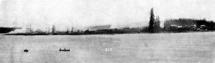 The south shore of Burrard Inlet as it appeared in 1886