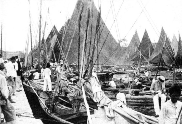The sails of the fishing fleet in the Ver-o Peso Dock at Para on the Amazon